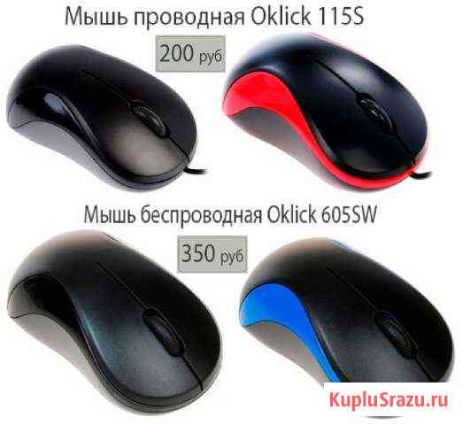 Мышь Новая Старый Оскол