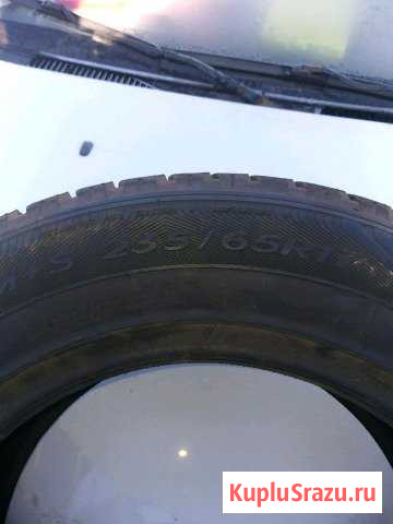 Шины Выборг - изображение 1