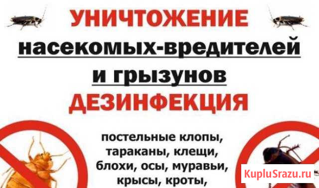 Уничтожение насекомых и грызунов Барнаул - изображение 1