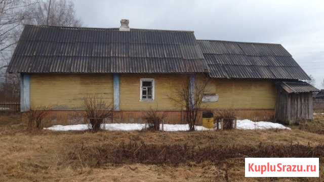 Дом 40 кв.м. на участке 15 сот. Савинский - изображение 1