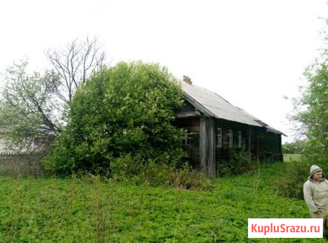 Дом 60 кв.м. на участке 18 сот. Каргополь - изображение 1