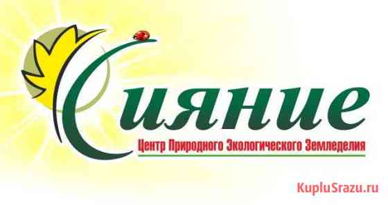 Продавец-консультант и продавец-кассир Северодвинск