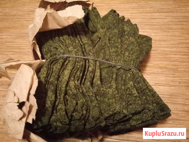Майка Биробиджан - изображение 1