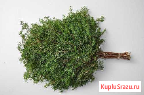 Веники для бани из можжевельника Выборг - изображение 1