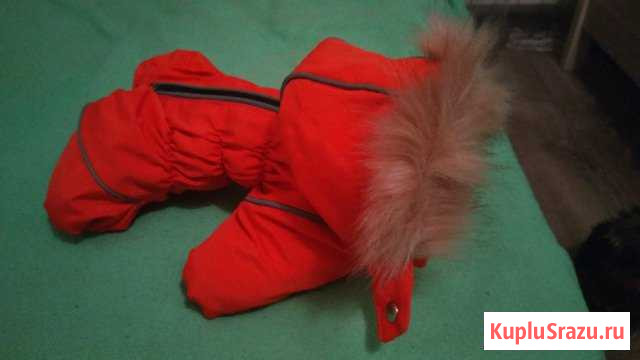 Костюм зимний на щенка Кириши - изображение 1