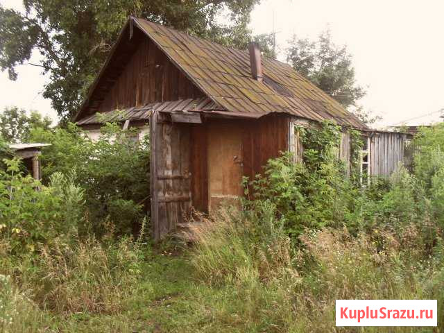Дом 32.3 кв.м. на участке 18 сот. Шипуново - изображение 1