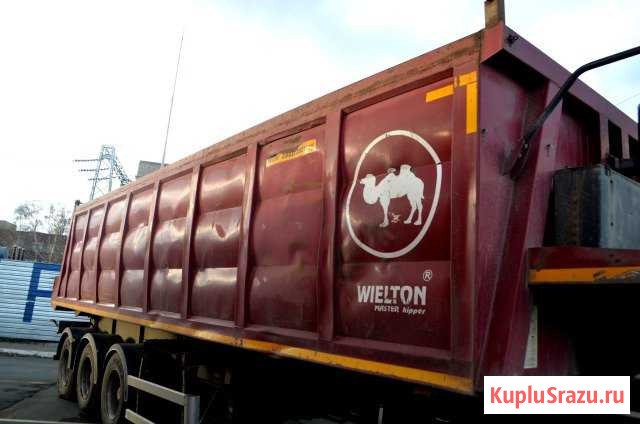 Wielton NW 33,4 (самосвальный) 2013 Барнаул - изображение 1