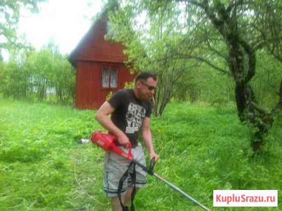 Дача 20 кв.м. на участке 6 сот. Толмачево