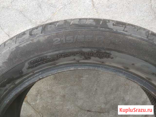 Continental Кировск - изображение 1