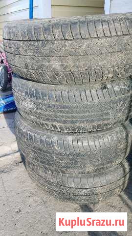 Резина dunlop Исилькуль - изображение 1