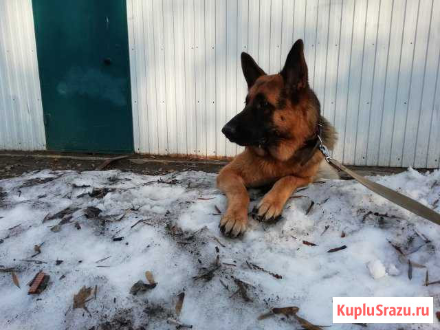 Вязка Балаково - изображение 1