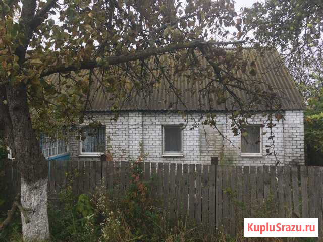  Локоть - изображение 1