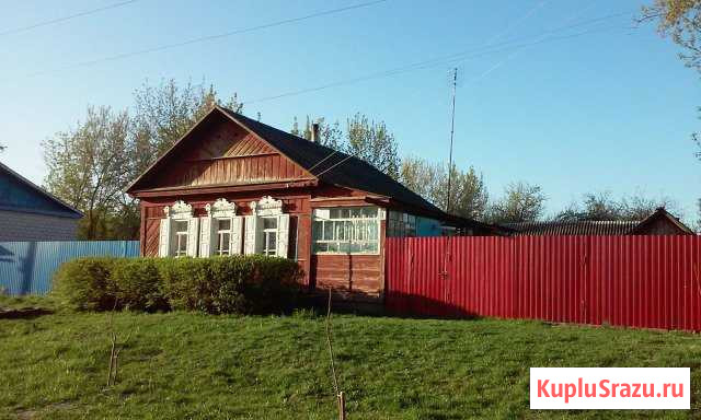 Дом 37 кв.м. на участке 15 сот. Стародуб - изображение 1