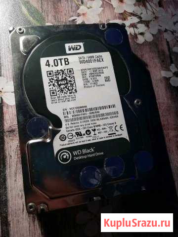 WD 4 Tb black Ярославль - изображение 1