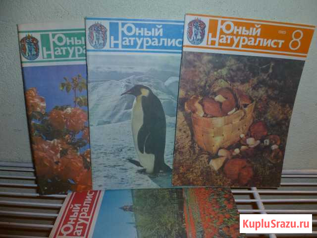 Журналы Юный натуралист Вологда - изображение 1