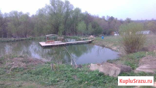  Кременки - изображение 1