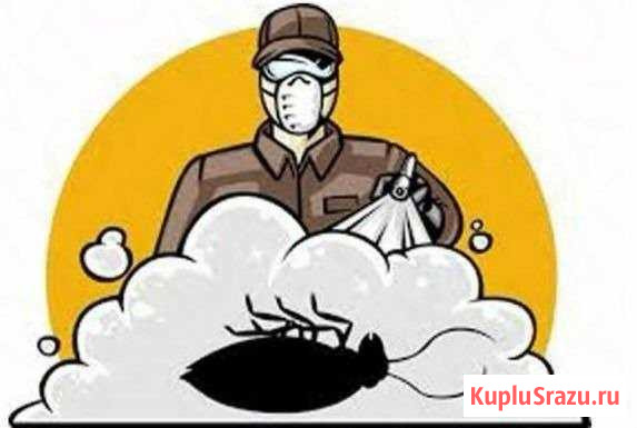 Уничтожение клопов, тараканов, блох, мух Железногорск - изображение 1