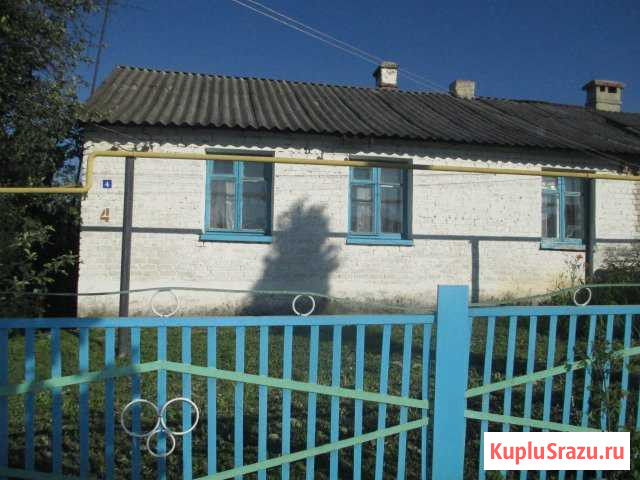 Дом 52.9 кв.м. на участке 10 сот. Лебедянь - изображение 1
