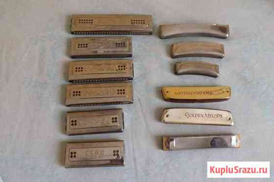 Коллекция губных гармошек M hohner Липецк