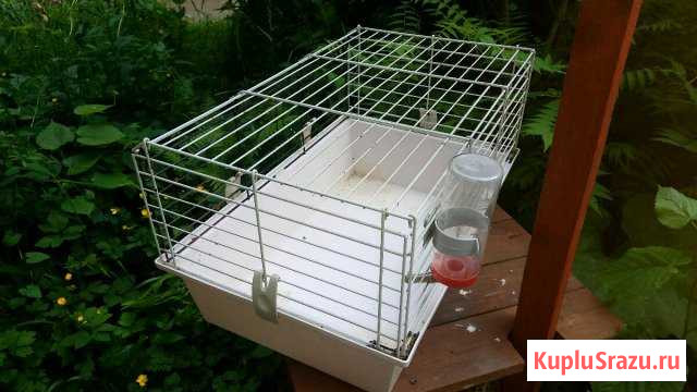 Клетка Светлогорск - изображение 1