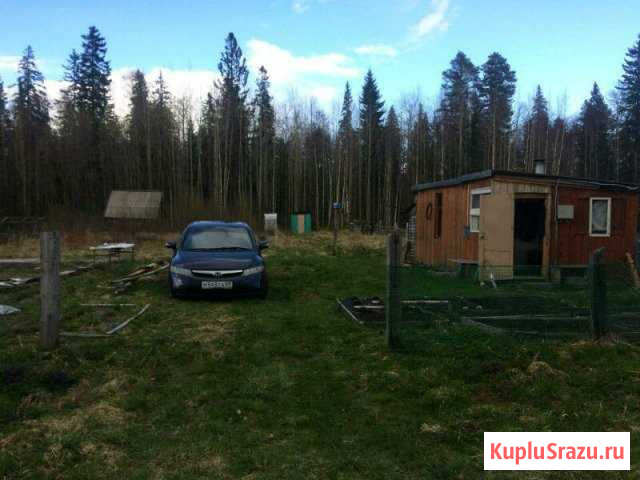 Дача 20 кв.м. на участке 9 сот. Пиндуши - изображение 1