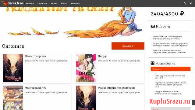 Создание Web-сайта Петрозаводск - изображение 1