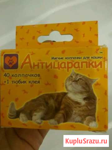 Антицарапки Заречный - изображение 1