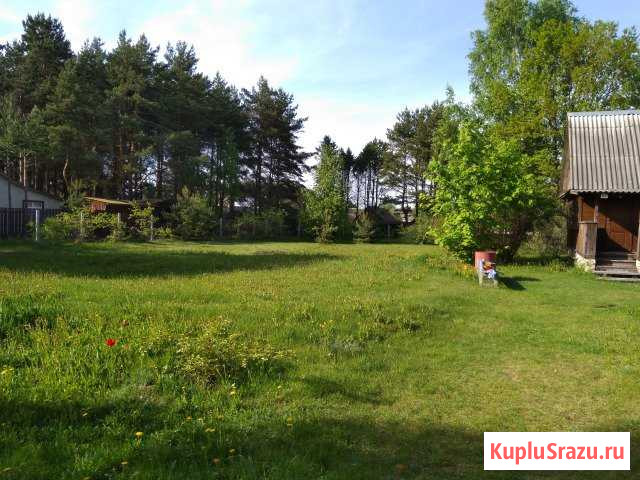 Дом 120 кв.м. на участке 21 сот. Невель - изображение 1