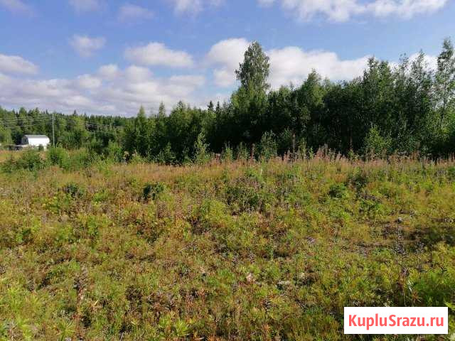  Петрозаводск - изображение 1