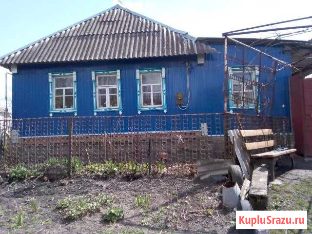 Дом 40 кв.м. на участке 50 сот. Черницыно - изображение 1