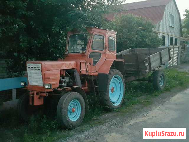 Трактор Т-25 Пристень - изображение 1