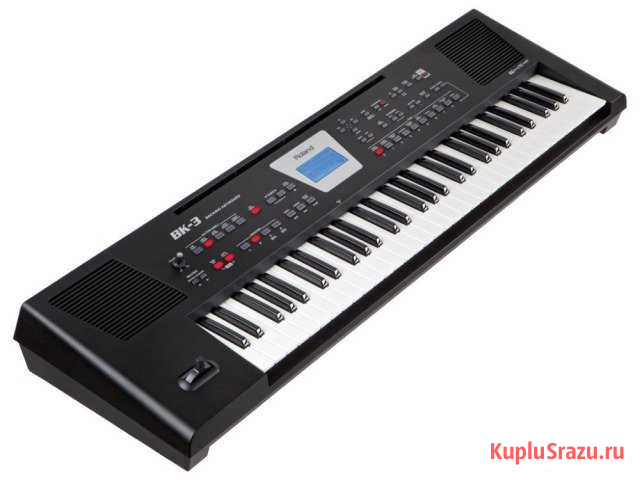 Roland Грозный - изображение 1