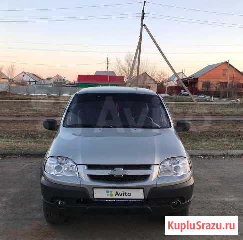Chevrolet Niva 1.7 МТ, 2011, внедорожник Сорочинск - изображение 1