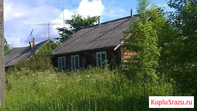  Новоржев - изображение 1