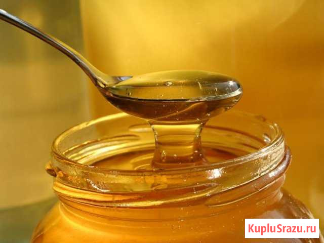 Продам мёд. Урожай 2019 г Великие Луки - изображение 1
