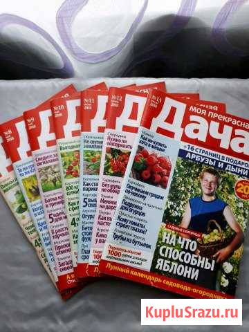 Журнал моя прекрасная дача Рославль - изображение 1