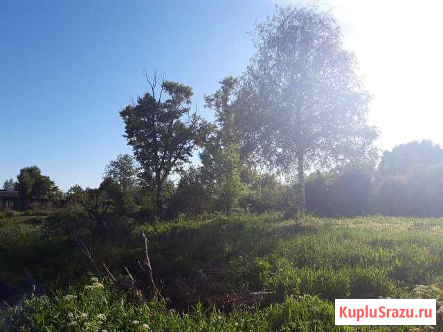  Красные Ткачи - изображение 1