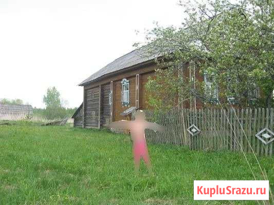  Данилов - изображение 1