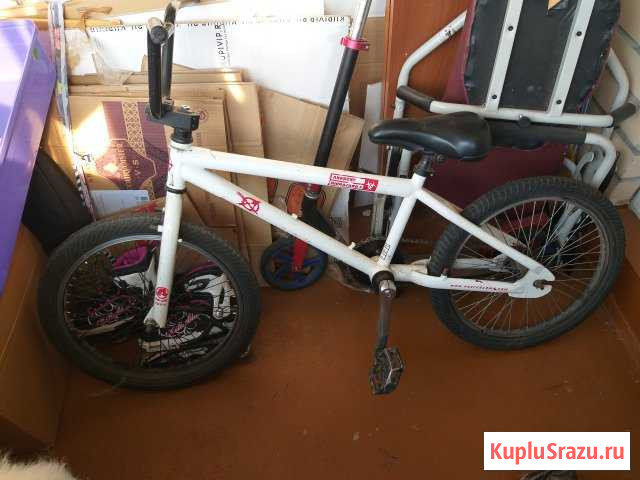 BMX Москва - изображение 1