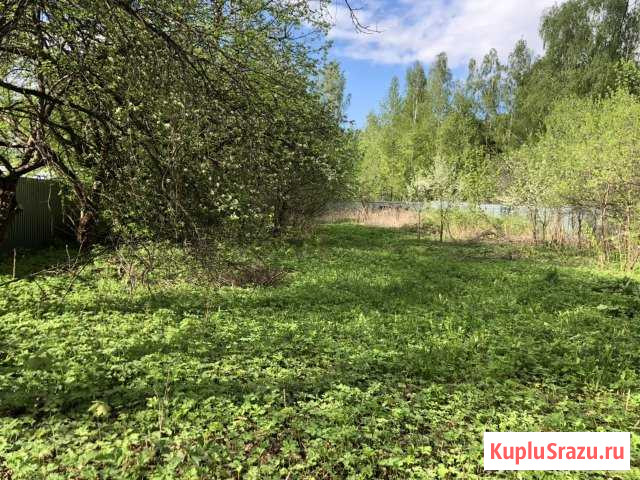  Тучково - изображение 1