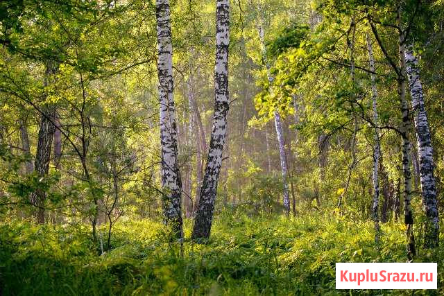  Домодедово - изображение 1