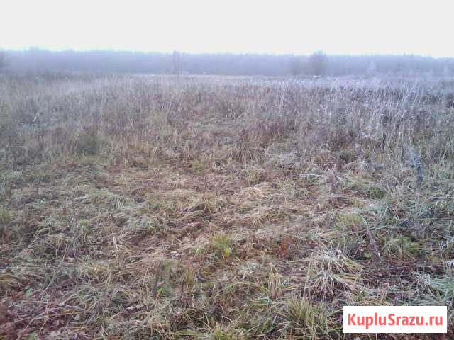  Талдом - изображение 1