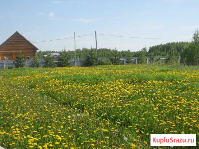  Солнечногорск - изображение 1