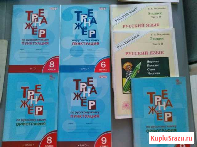 Тренажер по русскому языку, рабочая тетрадь Алекса Щёлково - изображение 1