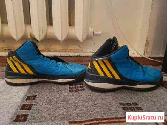 Кроссовки adidas Солнечногорск
