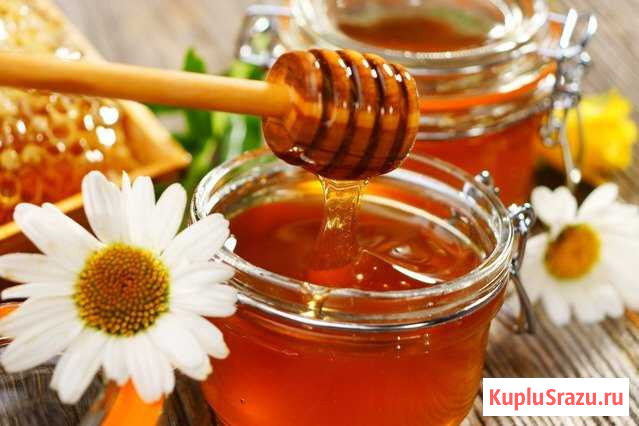 Мед Звенигород - изображение 1