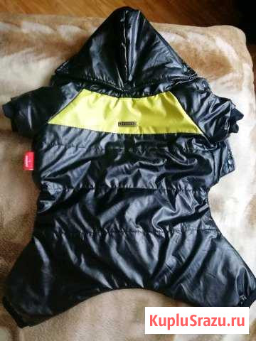 Одежда для собак Любучаны - изображение 1