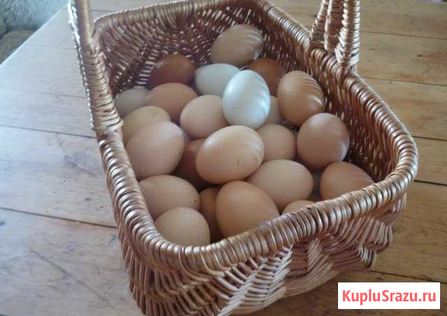 Вкусные домашние продукты Ногинск - изображение 1