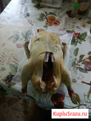 Продукт питания Фрязино - изображение 1