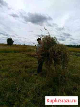 Приму отходы на корм животным Серпухов